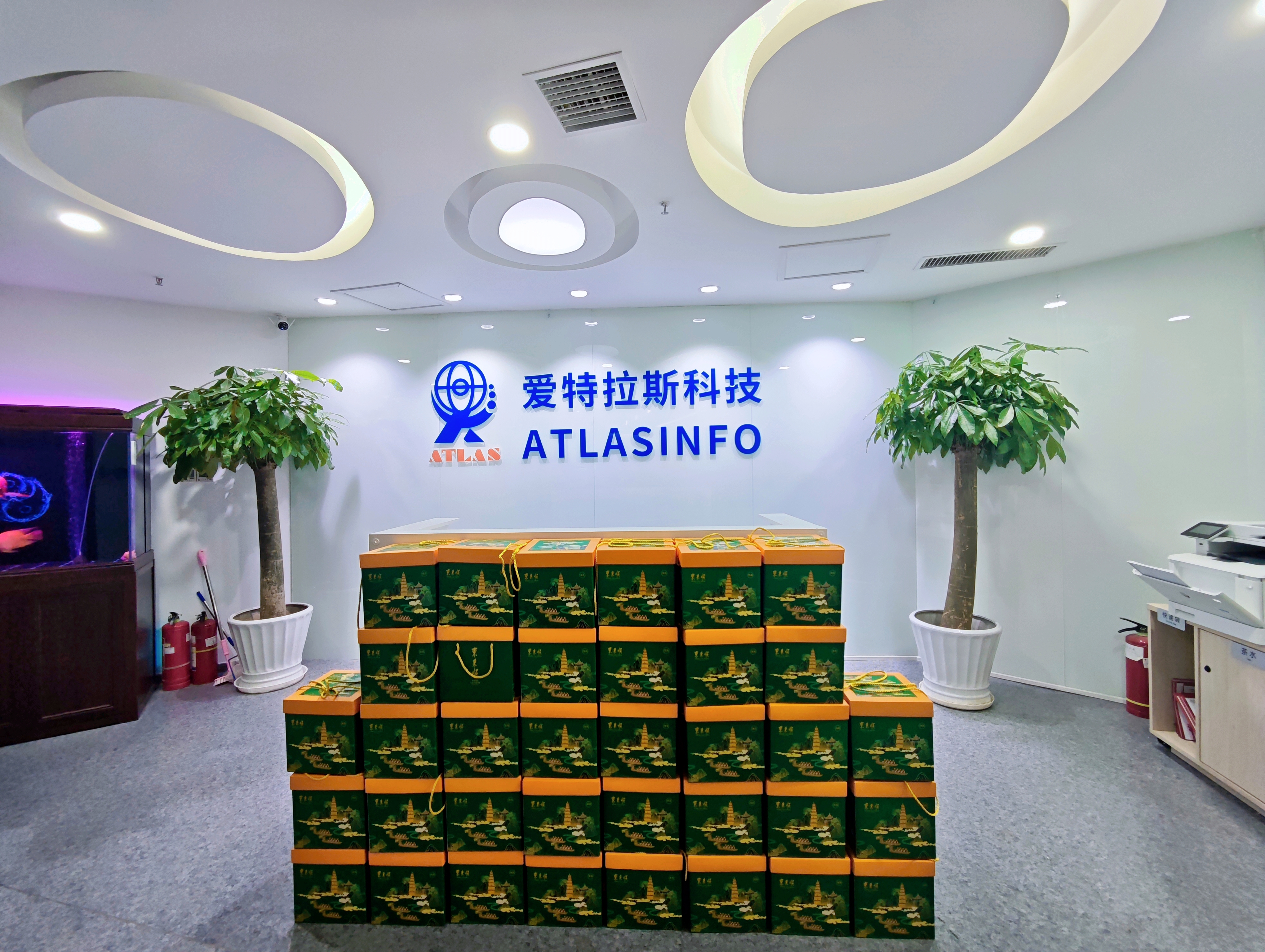 端午團圓時，思念是粽葉包裹的情